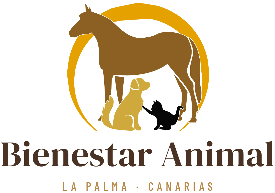 La Palma Animal Care — Bienestar Animal
